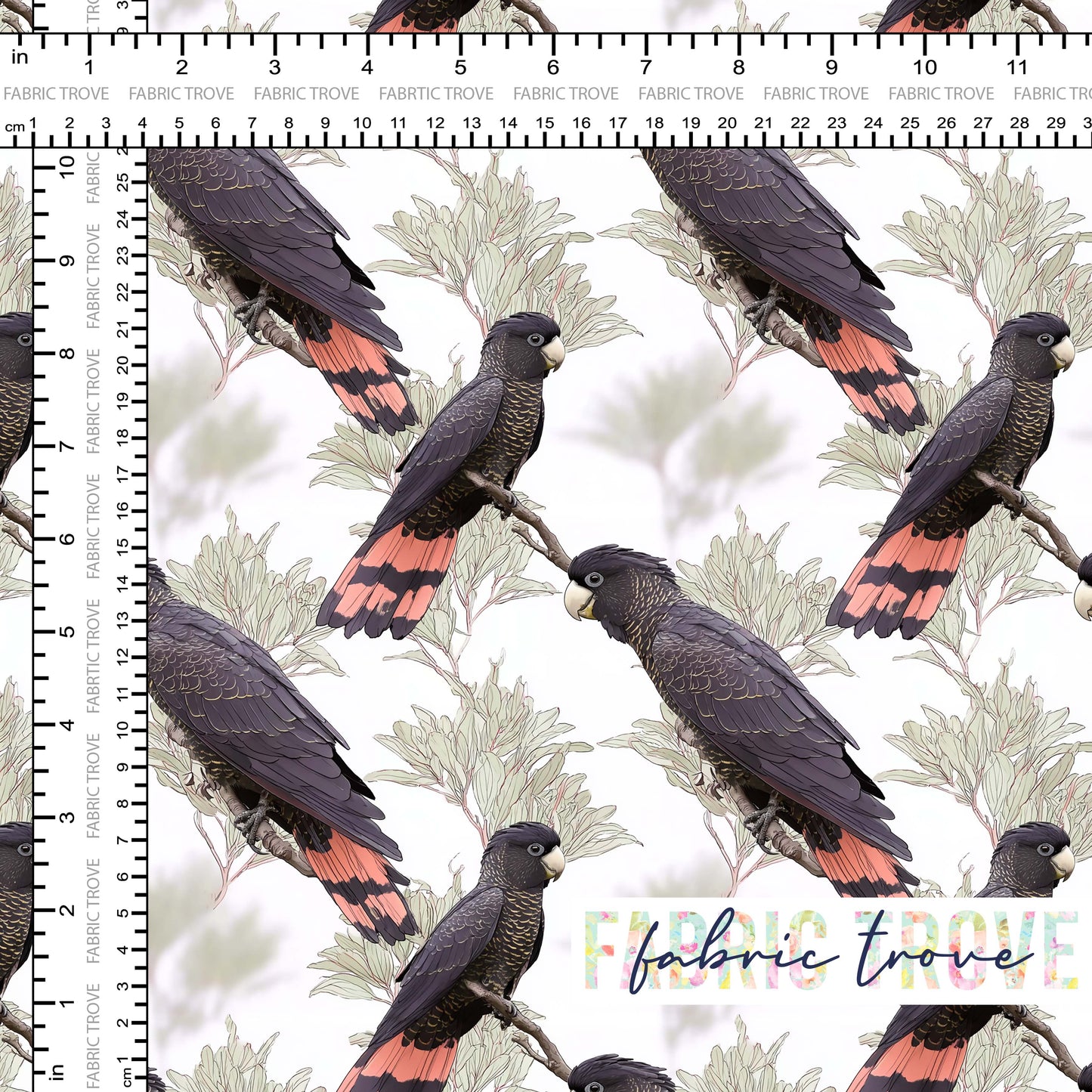 C100 - Black Cockatoo