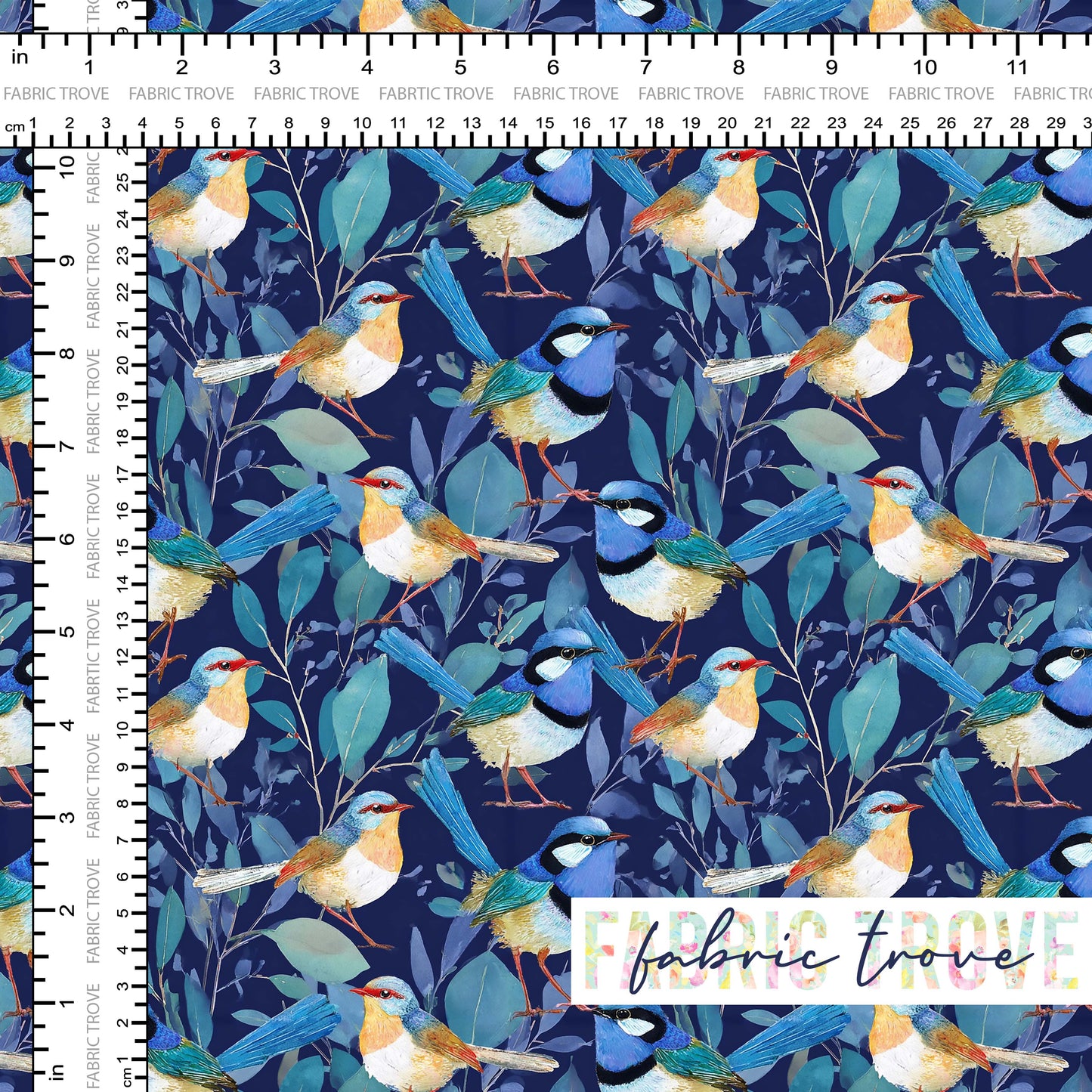 C100 - Blue Wren Family