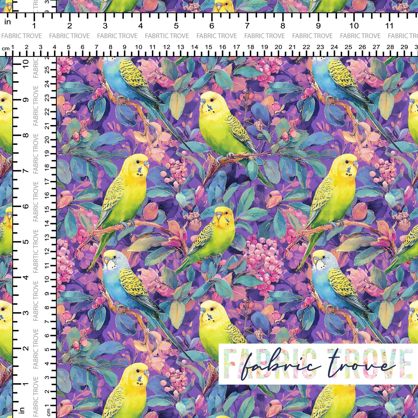 C100 - Budgerigar Purple