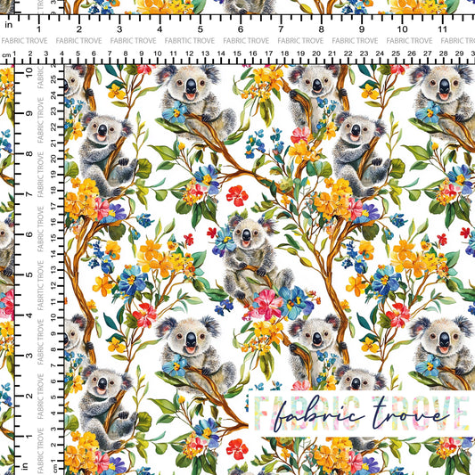 C100 - Hanging Around Koala