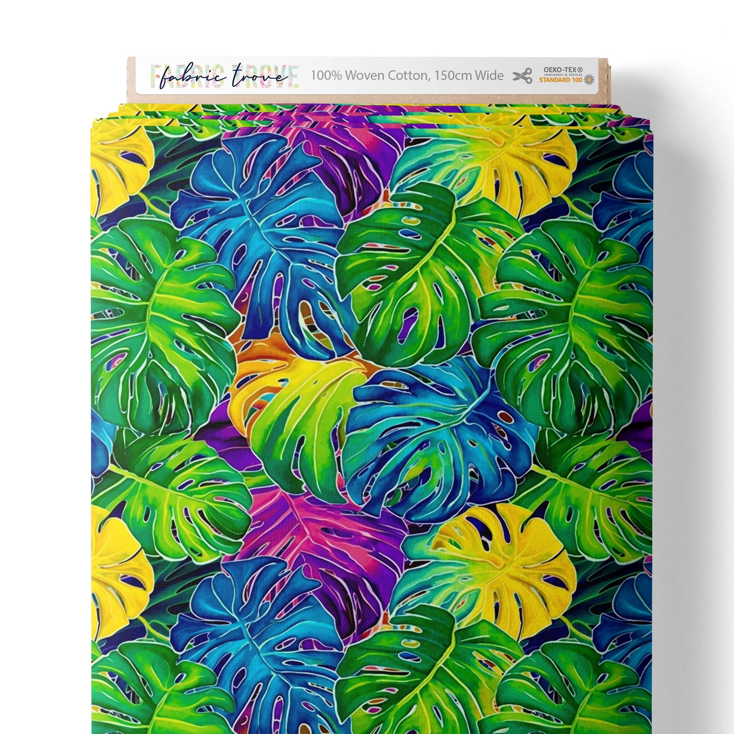 Rainbow Monstera
