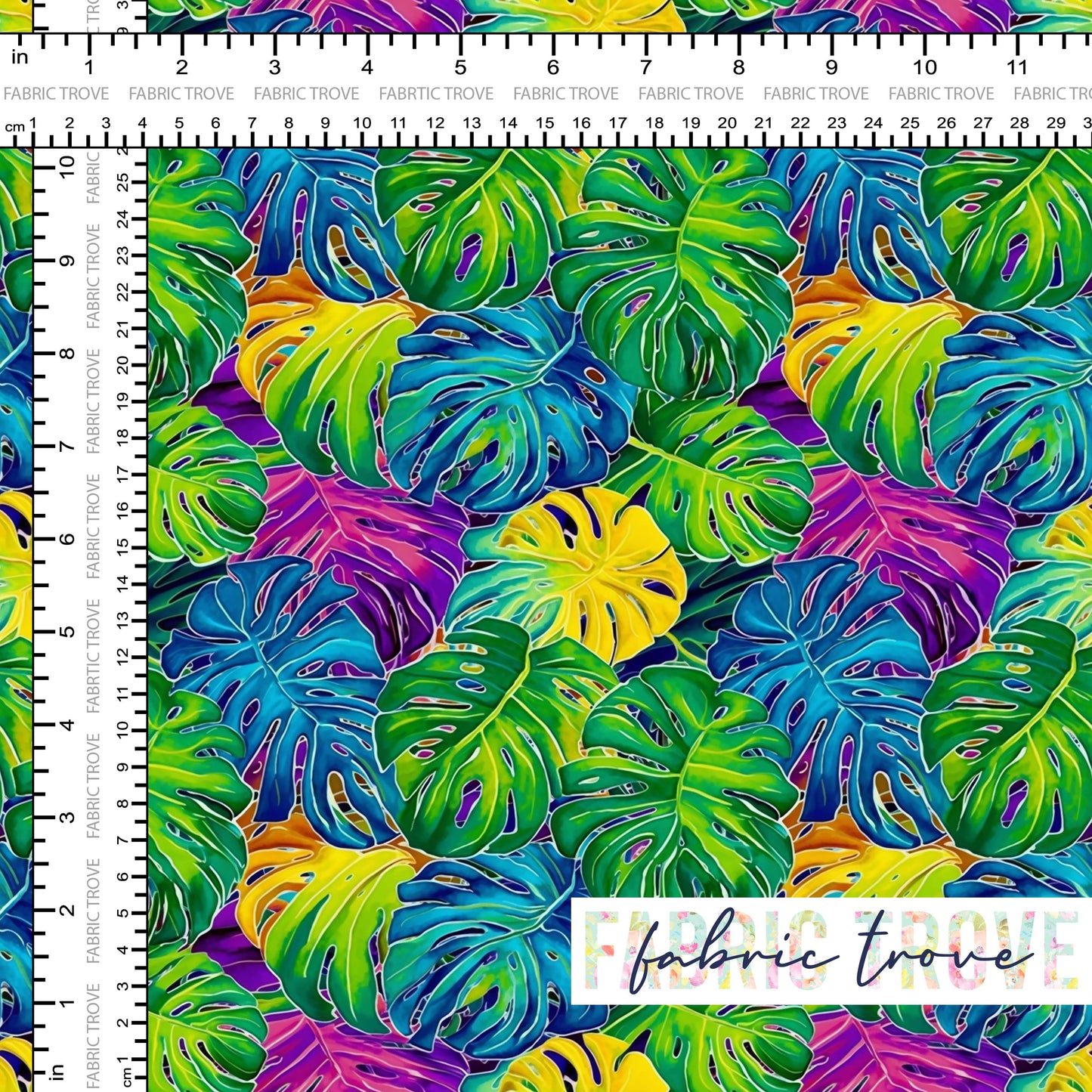 Rainbow Monstera