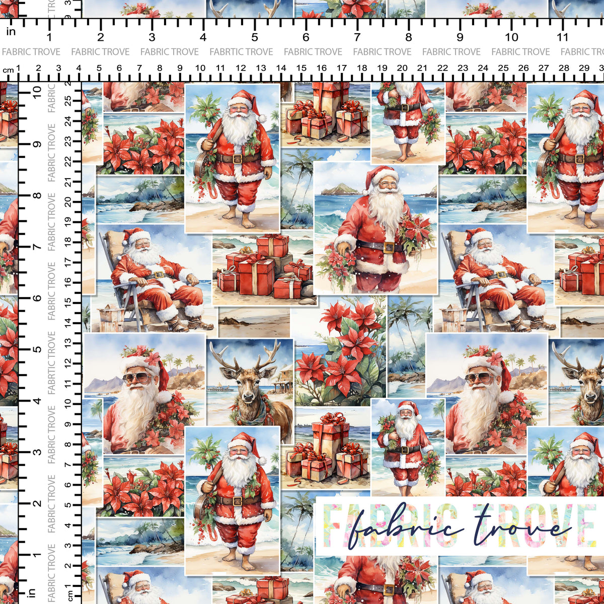 C100 - Santa Snapshot