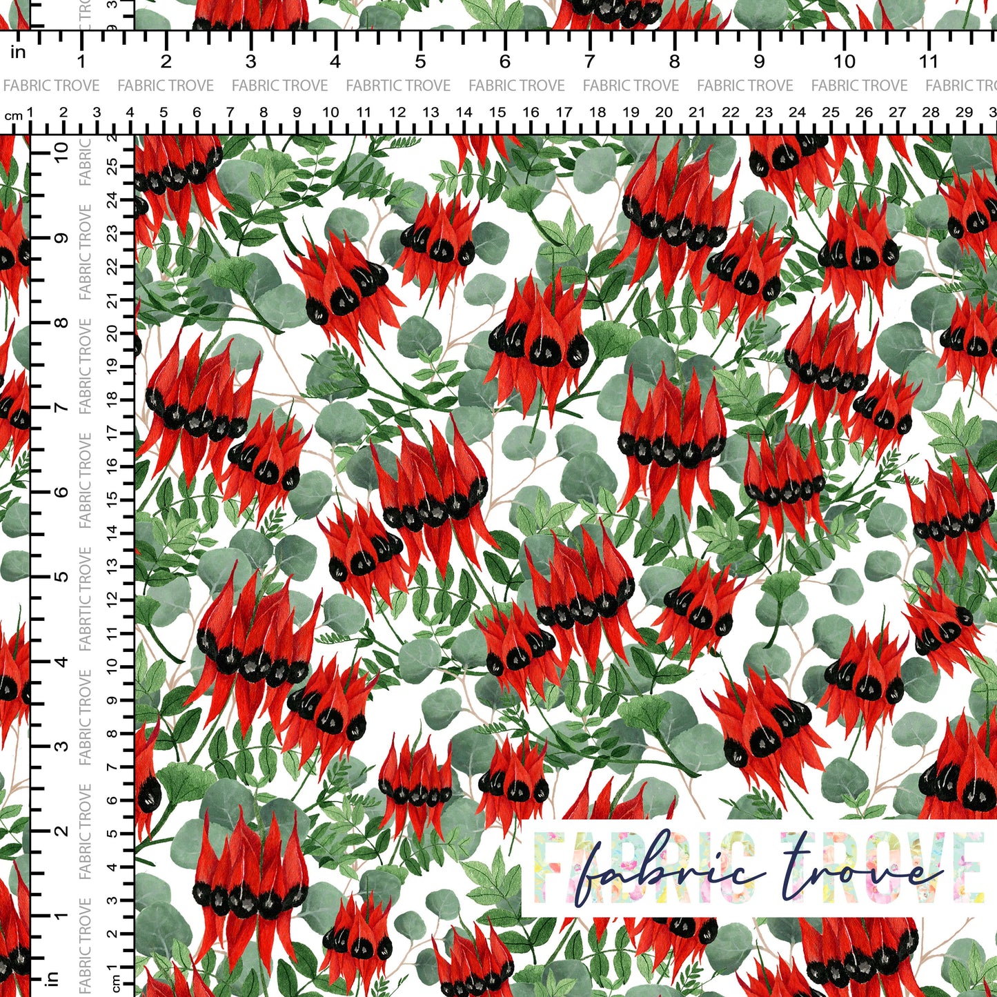 C100 - Sturt Desert Pea White