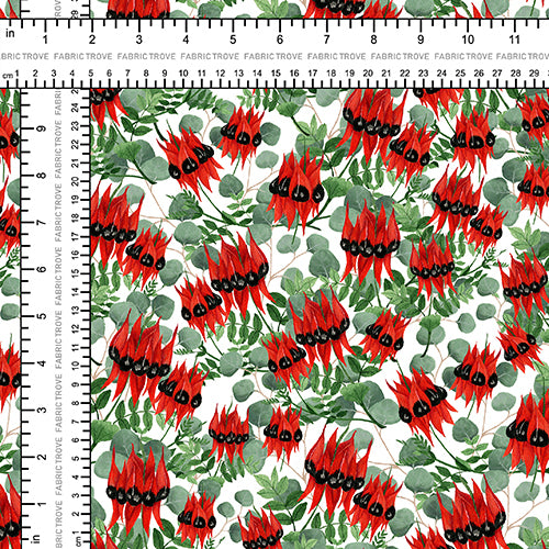 COTTON 100 - Sturt Desert Pea White