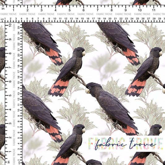 C100 - Black Cockatoo