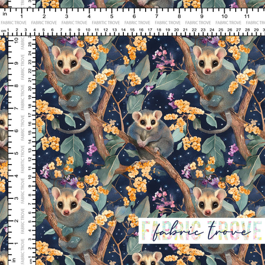 C100 - Dreaming In Possum