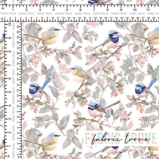 C100 - Pastel Blue Wrens