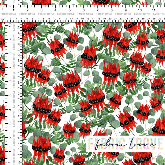 C100 - Sturt Desert Pea White