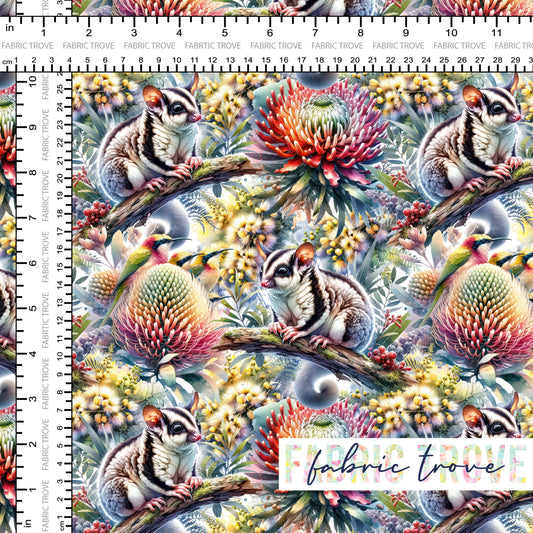 C100 - Sugar Glider