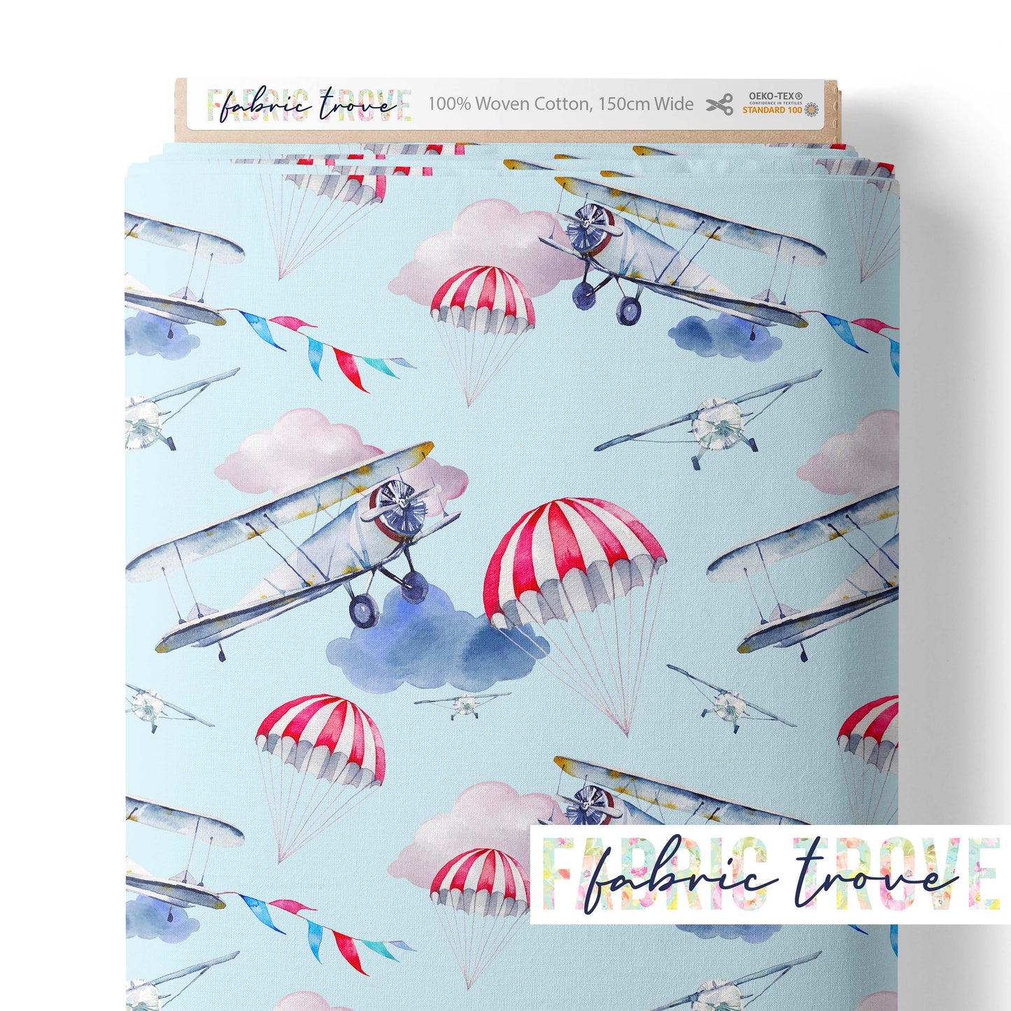 C100 - Vintage Flyer Sky